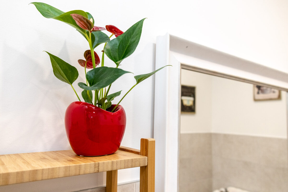 Camere weekend romantico Verona